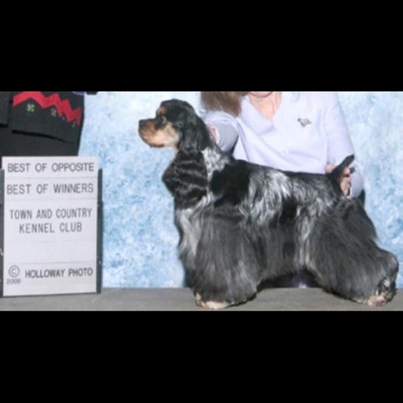 Meet your Posher, Genji - Picture 16 of 16